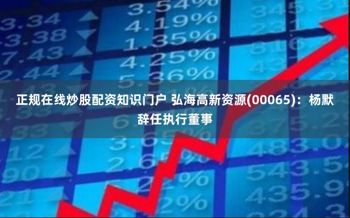 正规在线炒股配资知识门户 弘海高新资源(00065)：杨默辞任执行董事