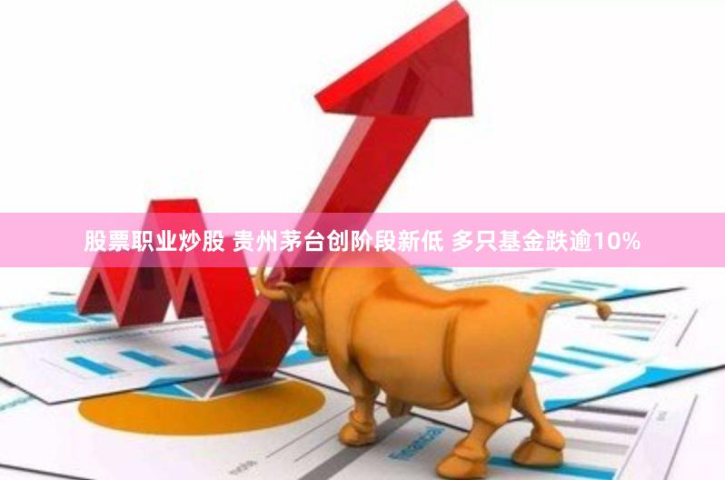 股票职业炒股 贵州茅台创阶段新低 多只基金跌逾10%