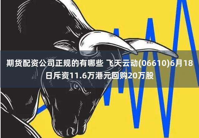 期货配资公司正规的有哪些 飞天云动(06610)6月18日斥资11.6万港元回购20万股