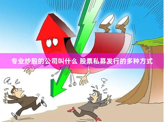 专业炒股的公司叫什么 股票私募发行的多种方式